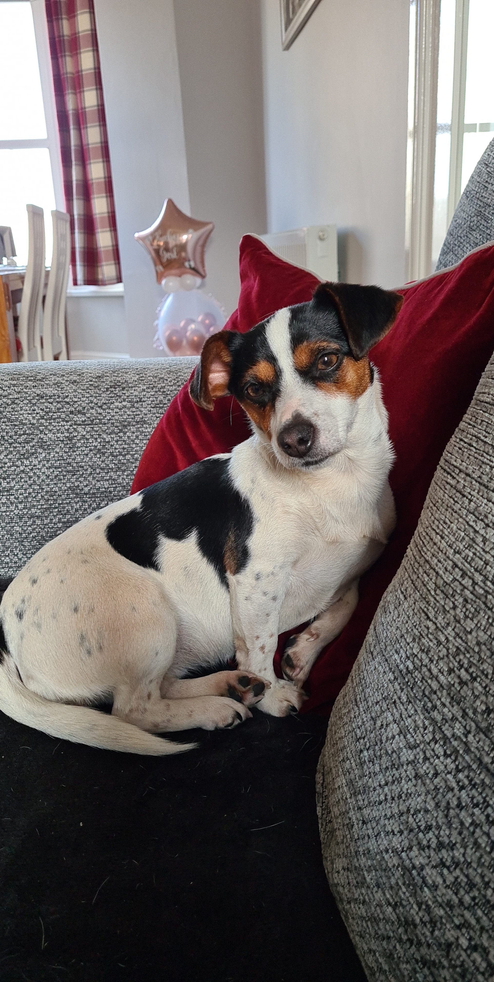 Photo of Izzy