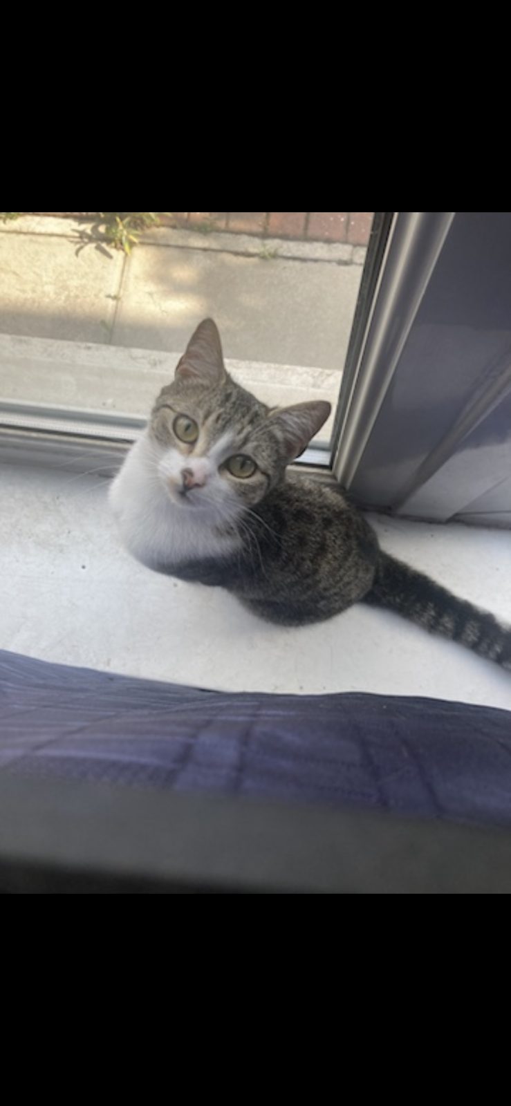 Photo of Kiki