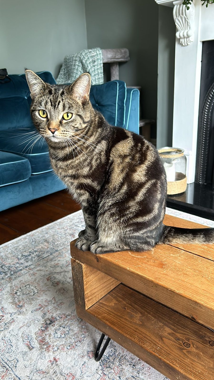 Photo of Paddy