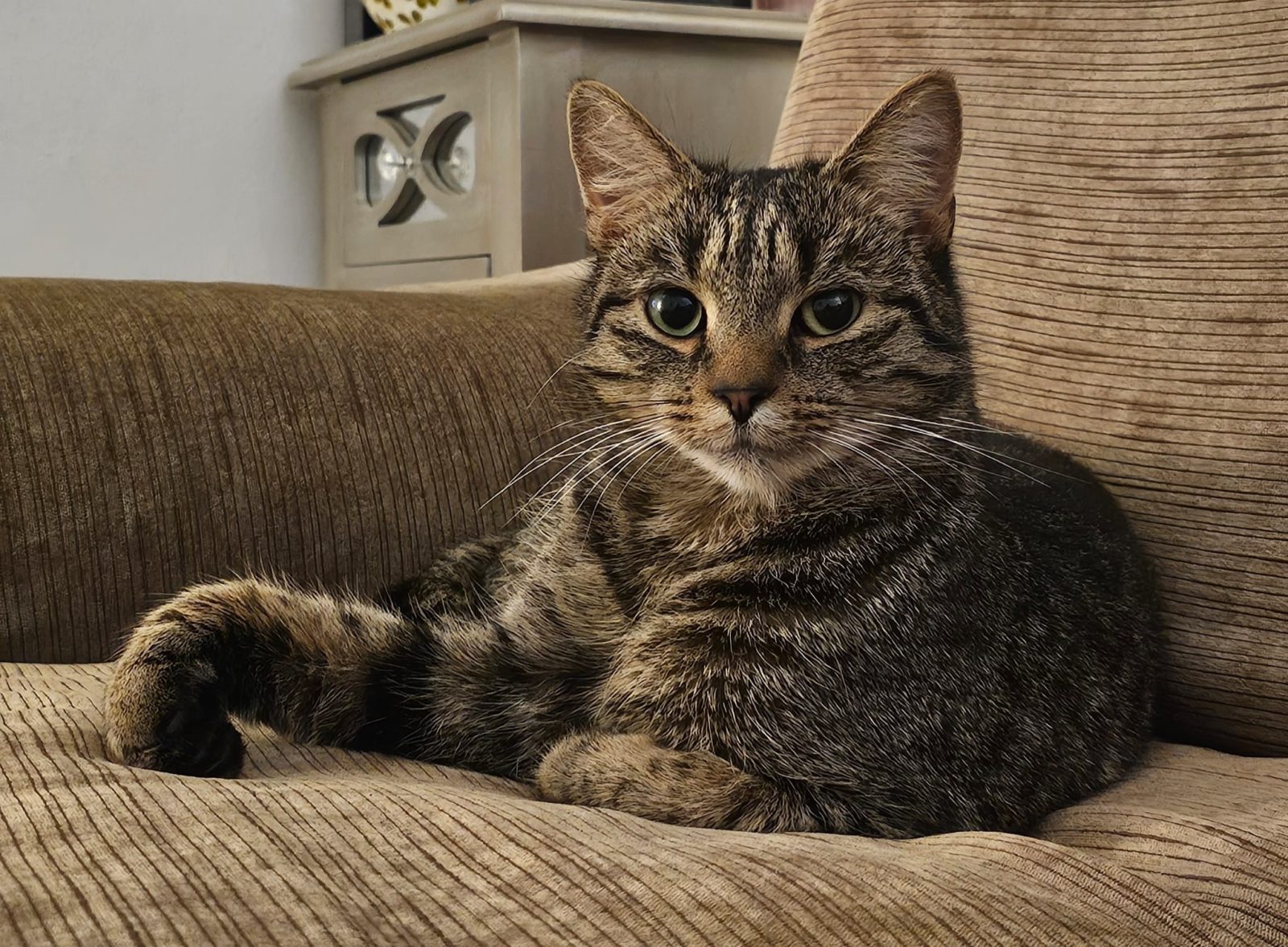 Photo of Eli