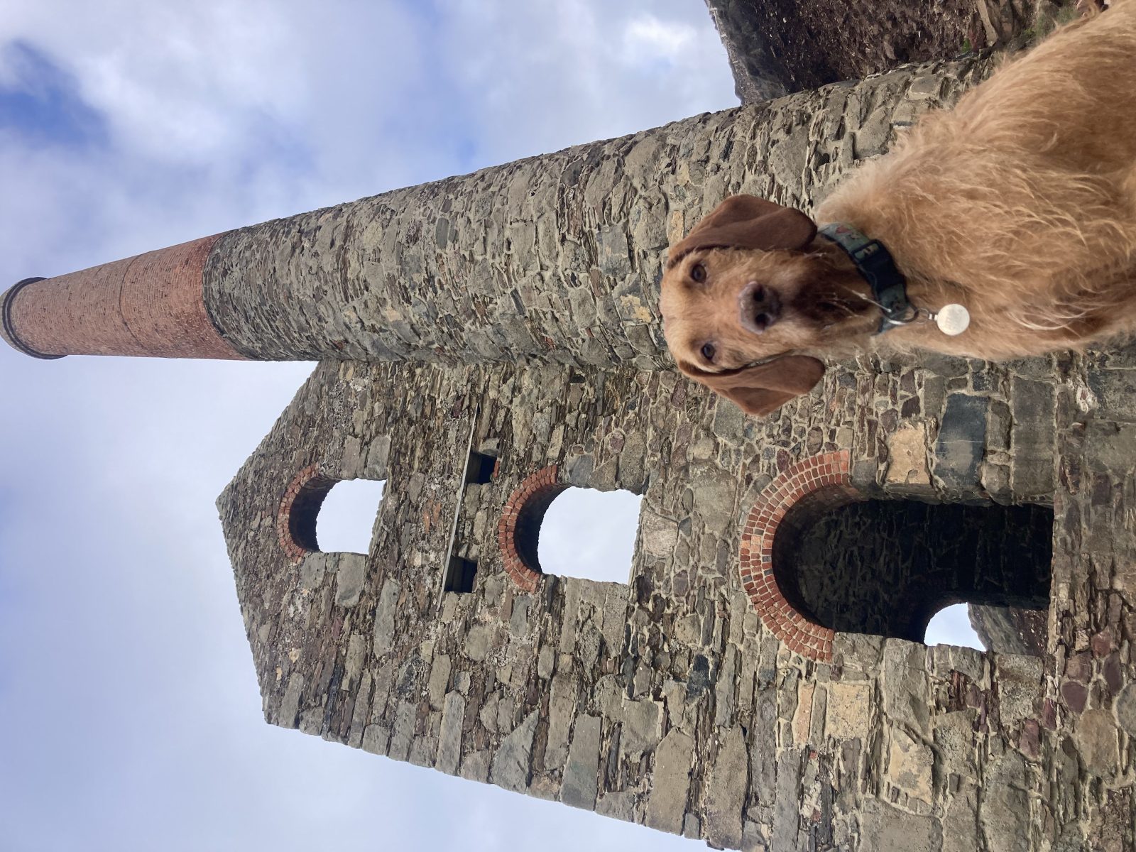 Photo of Indie