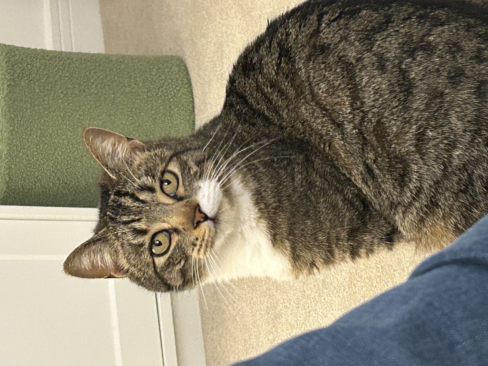 Photo of Django