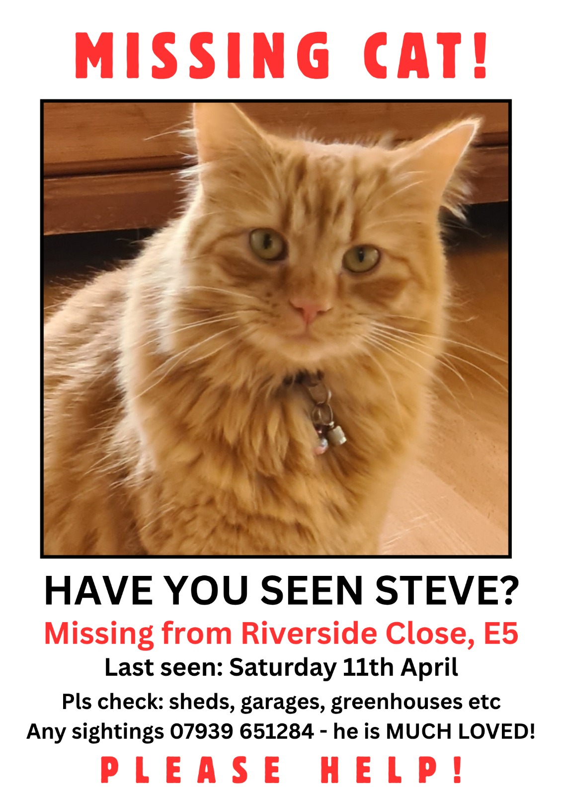 Photo of Steve