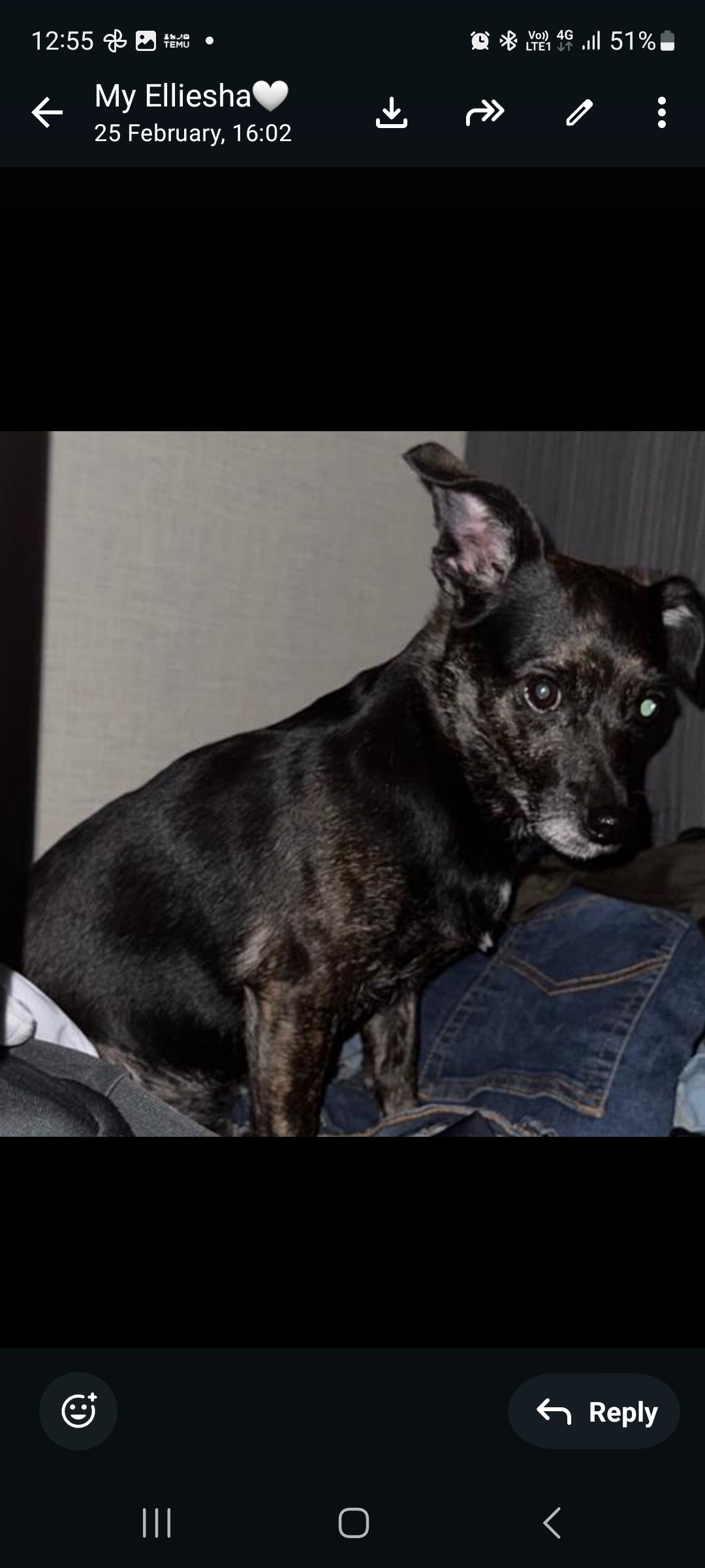 Photo of Coco