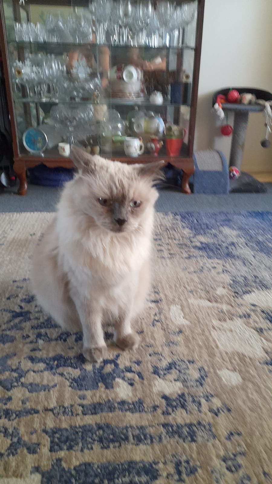 Photo of Smoochie