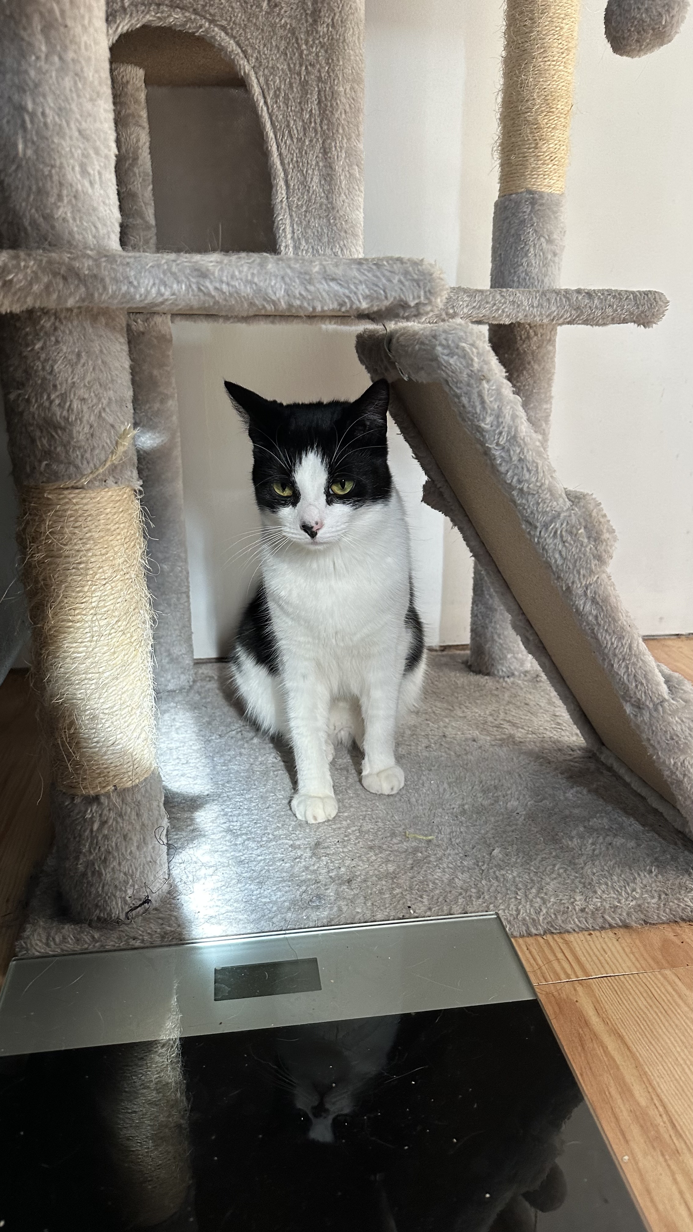 Photo of Twix