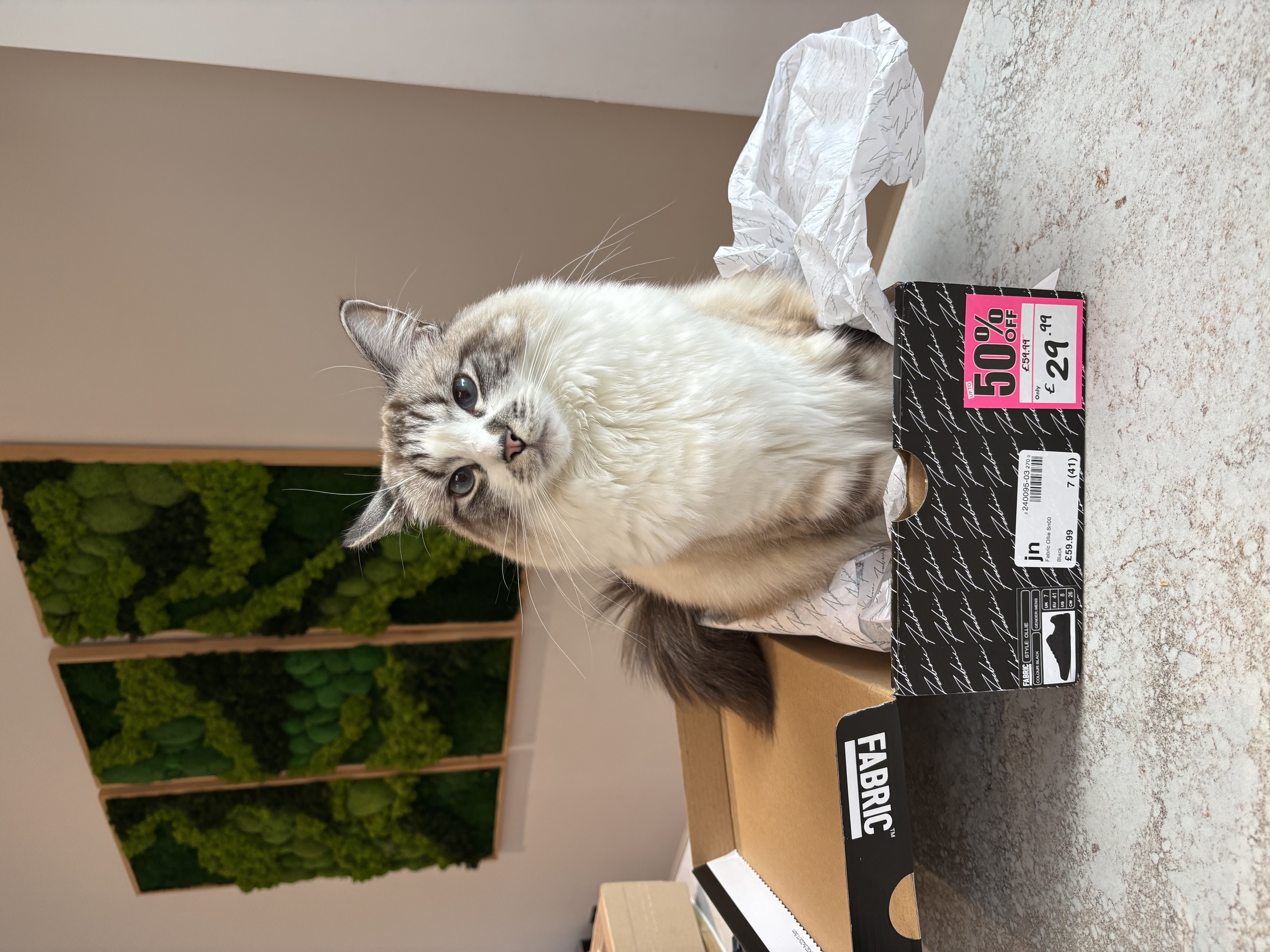 Photo of Pixel