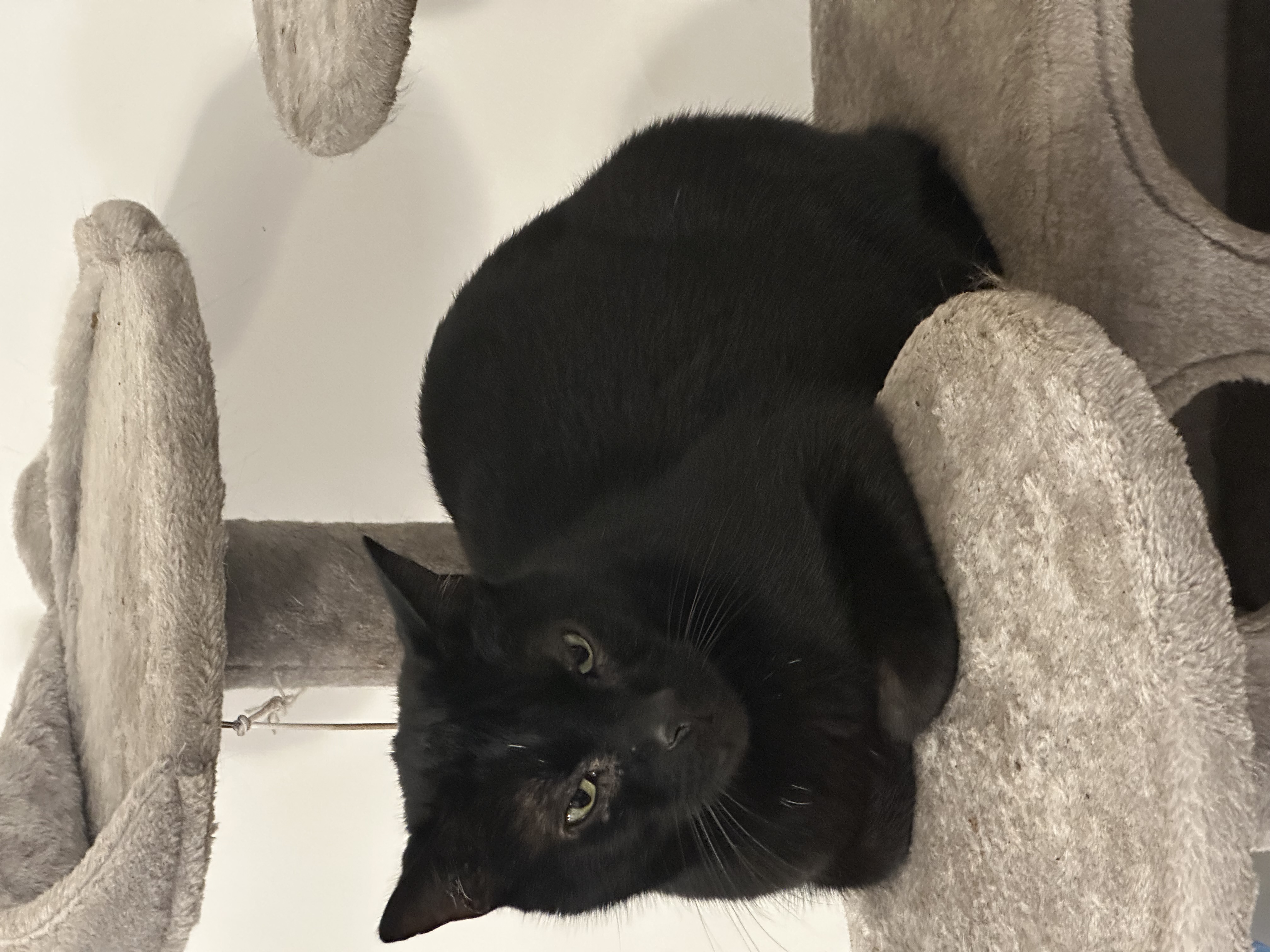 Photo of Freddy