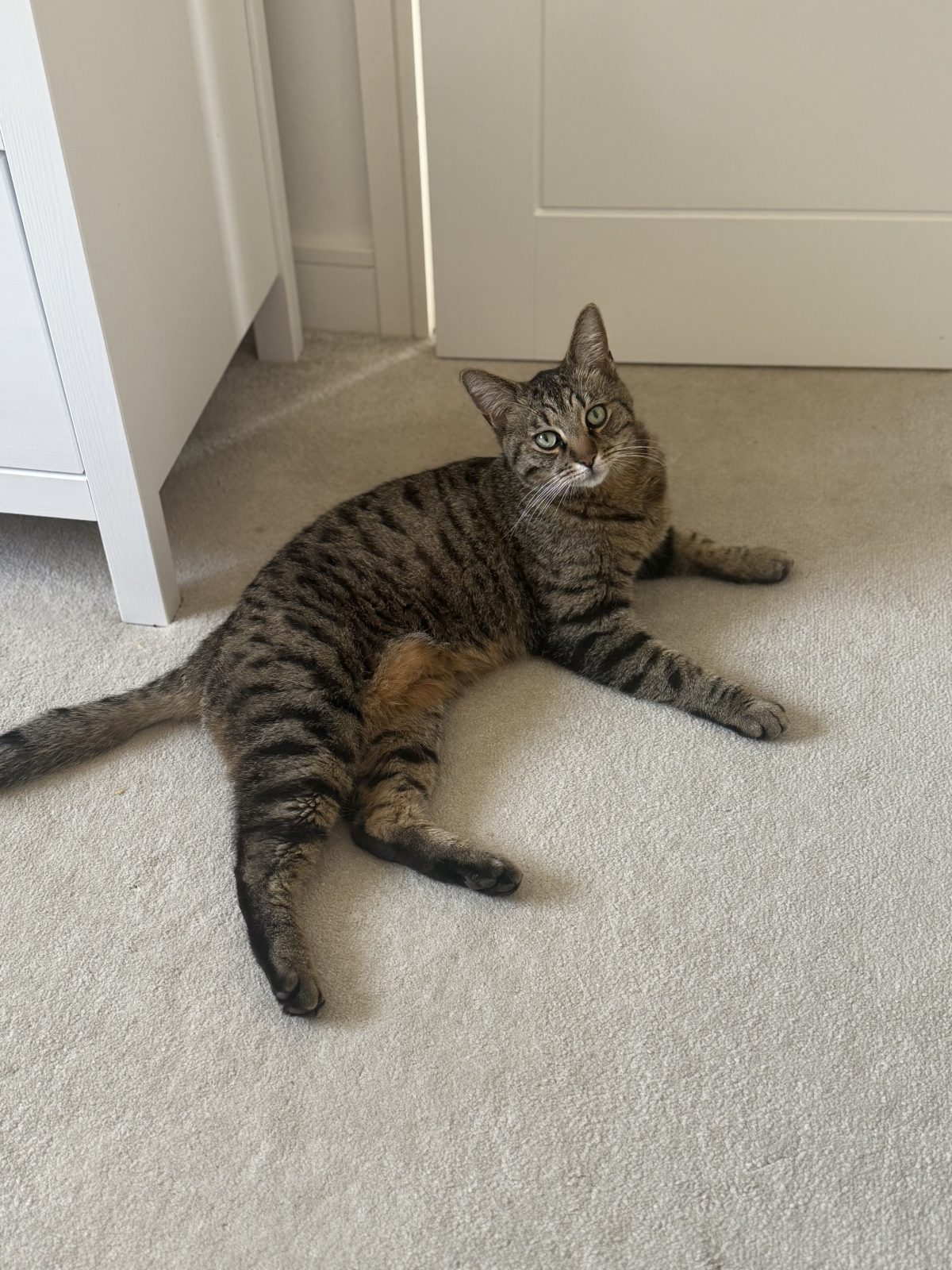 Photo of Nigel