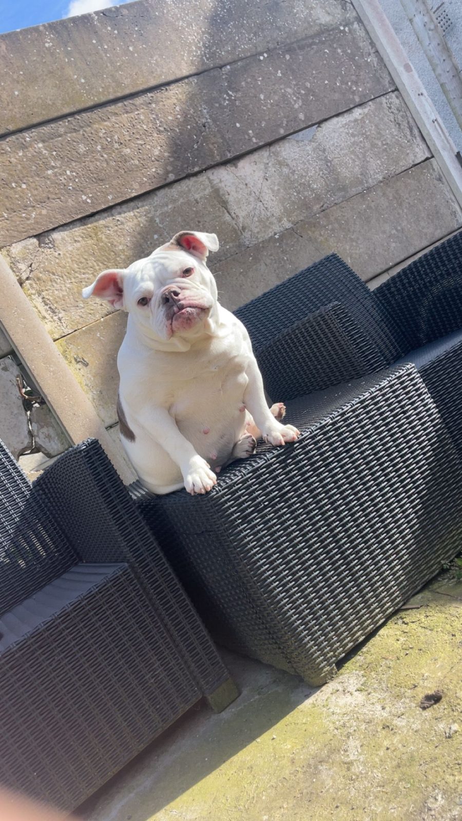 Photo of Winnie