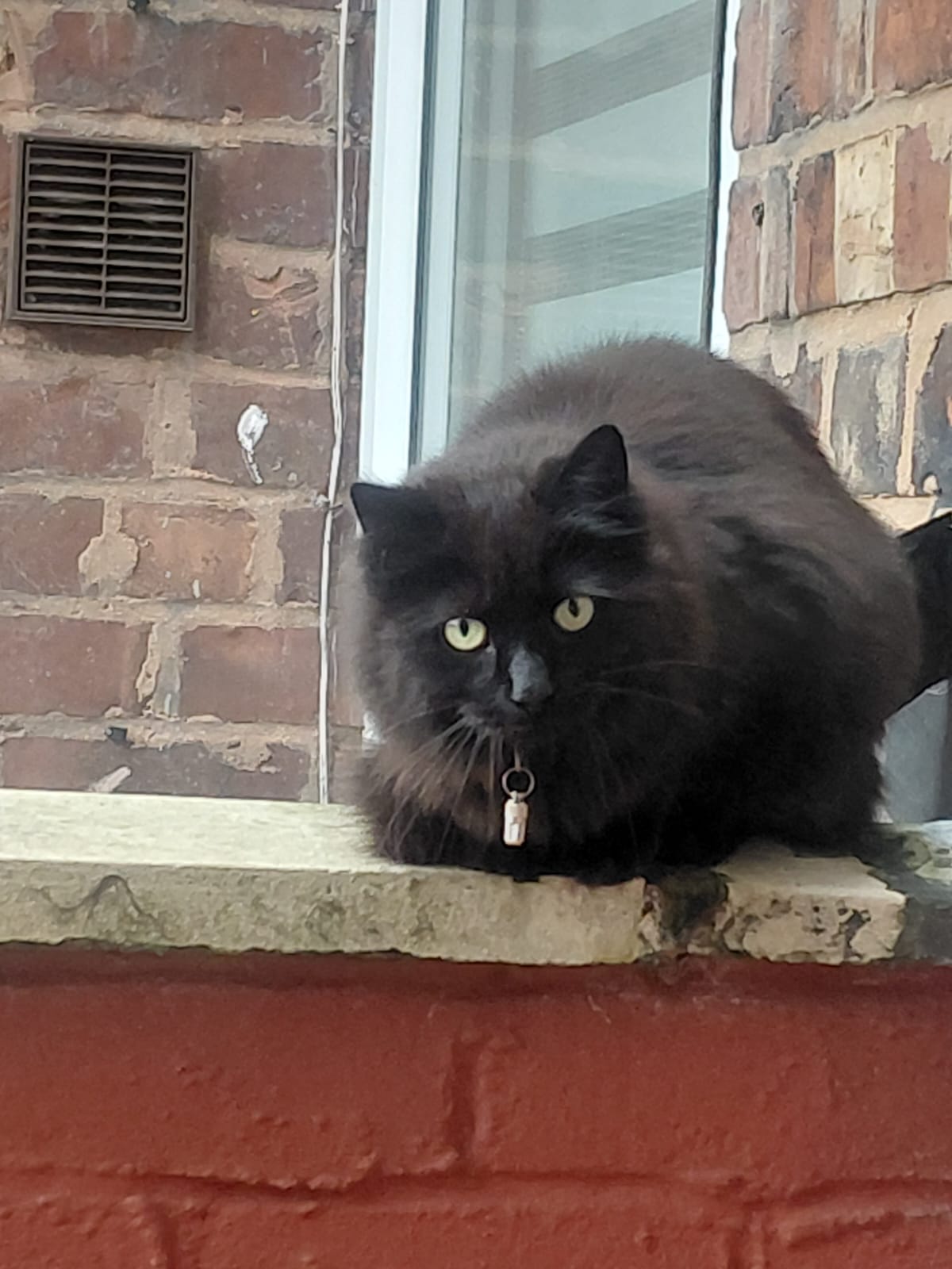 Photo of Mazikeen (Maze)