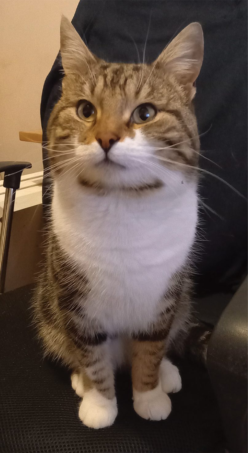 Photo of Barney