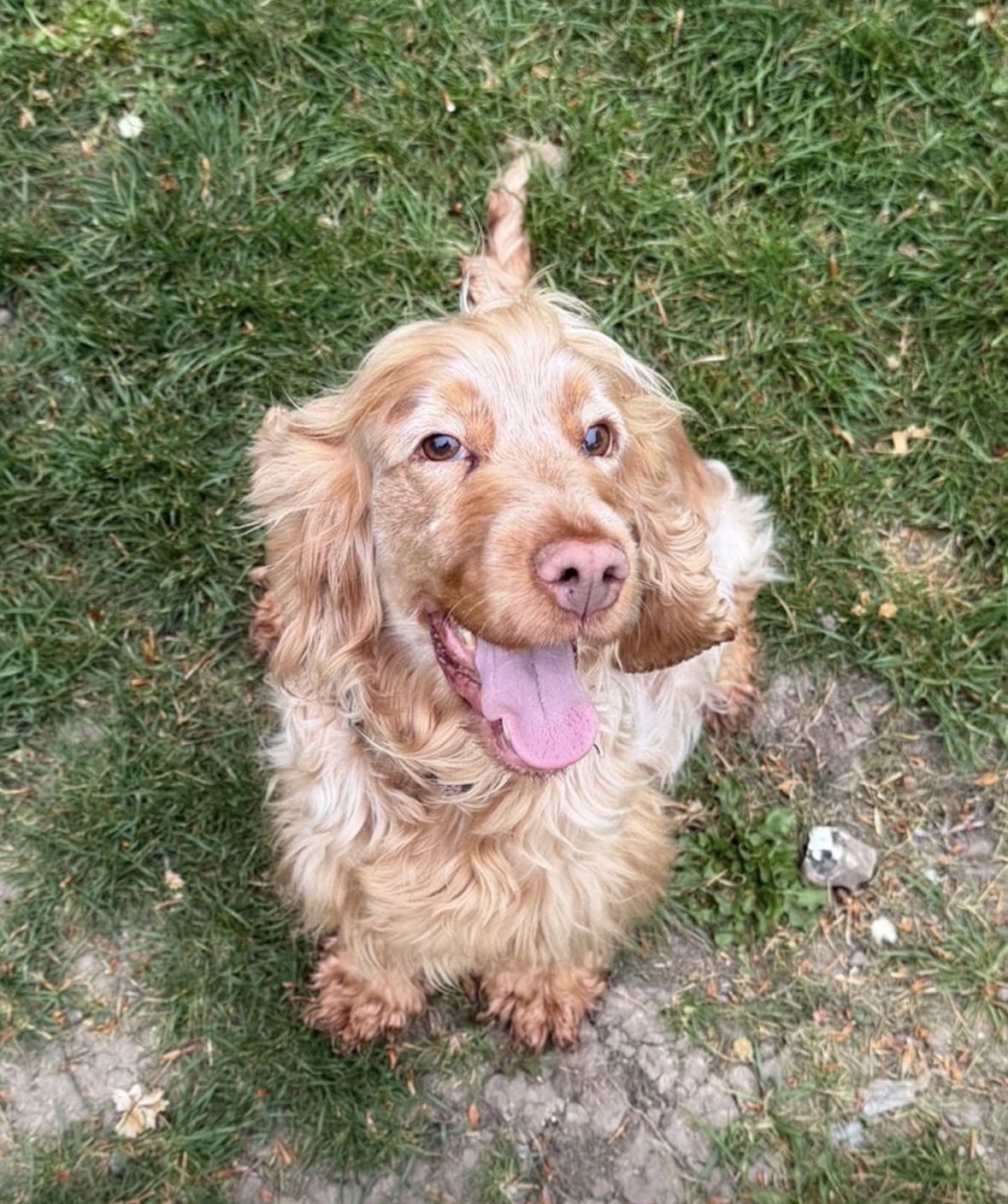 Photo of Bonnie