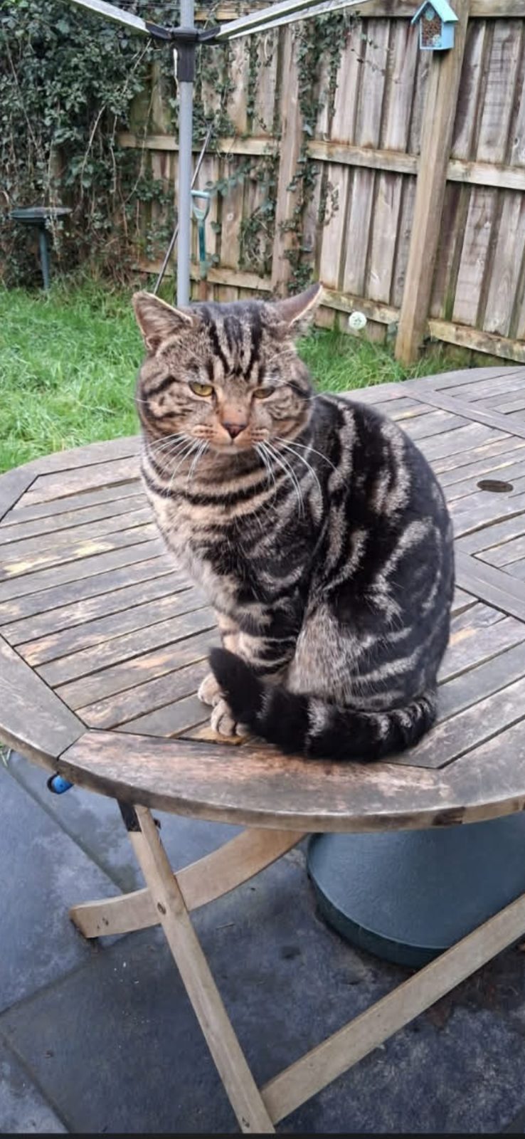 Photo of Max