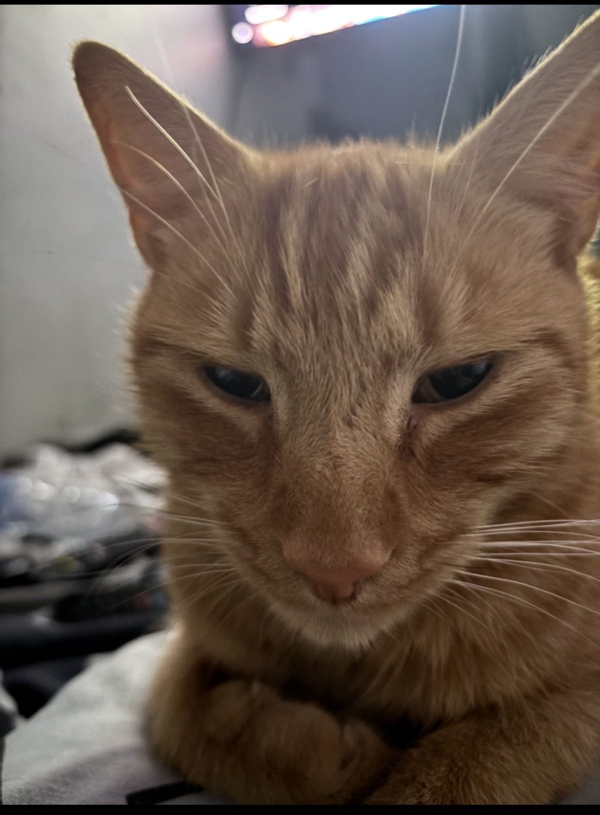 Photo of Jasper