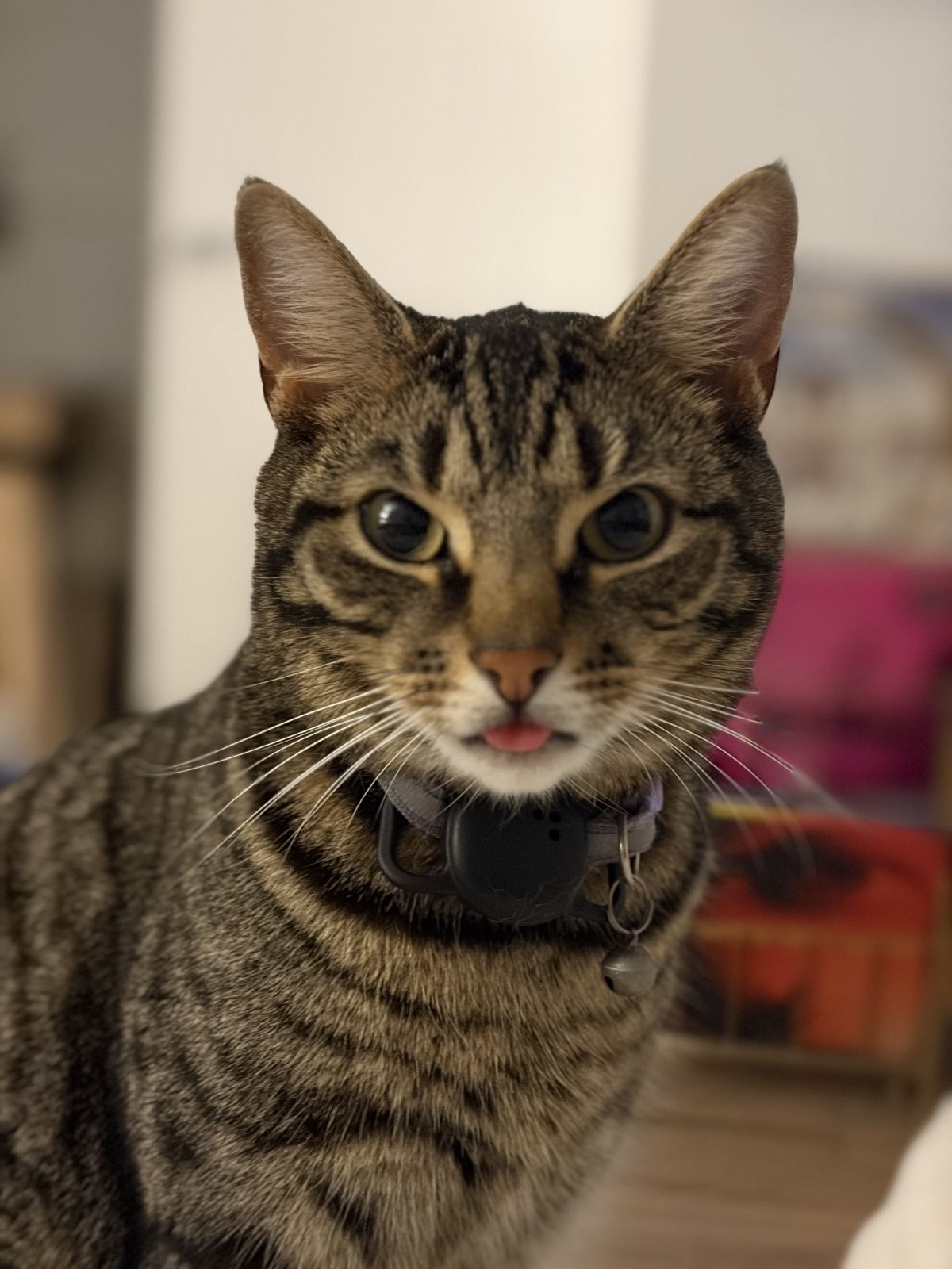 Photo of Crumble