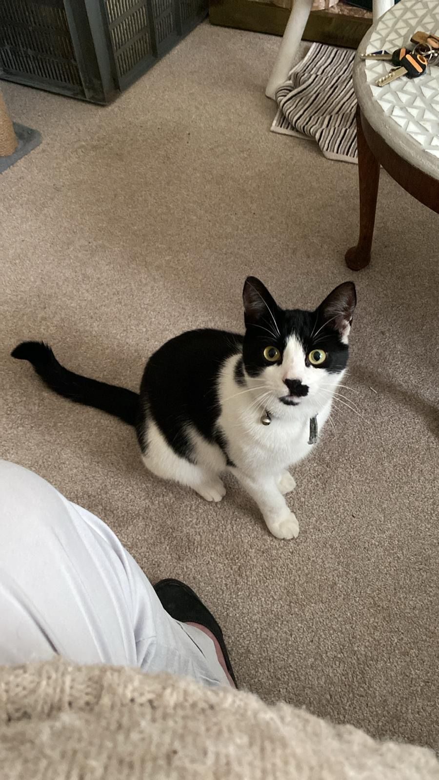 Photo of Boots