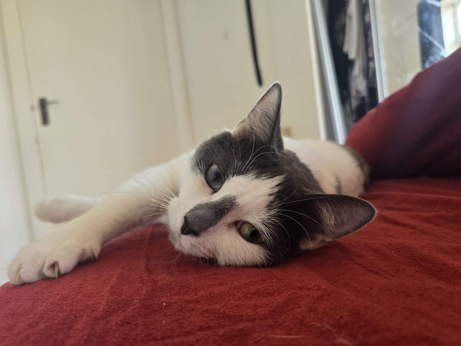 Photo of Star