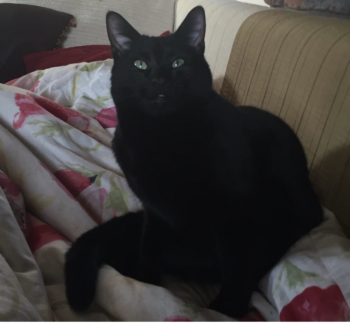 Photo of Eric