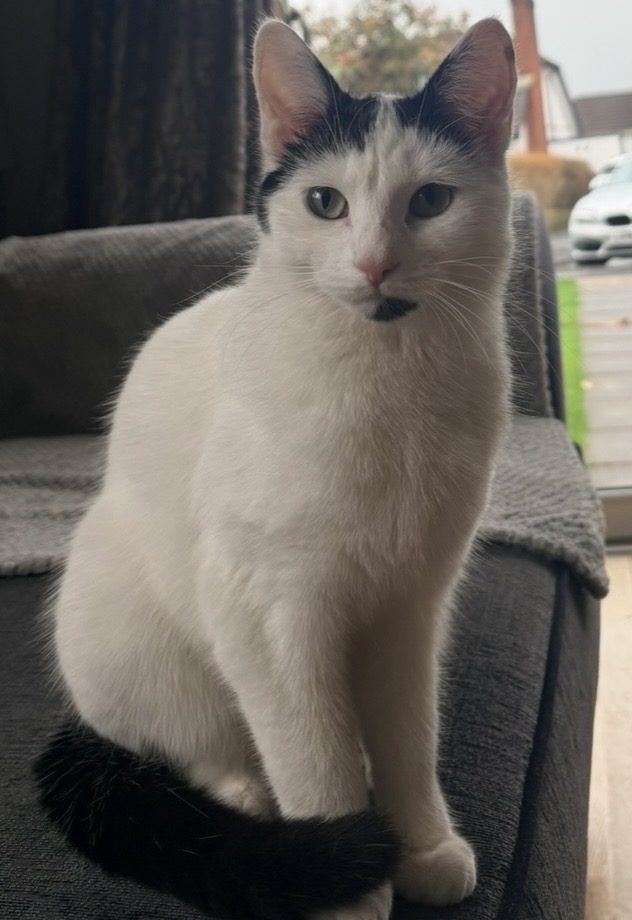Photo of Masie