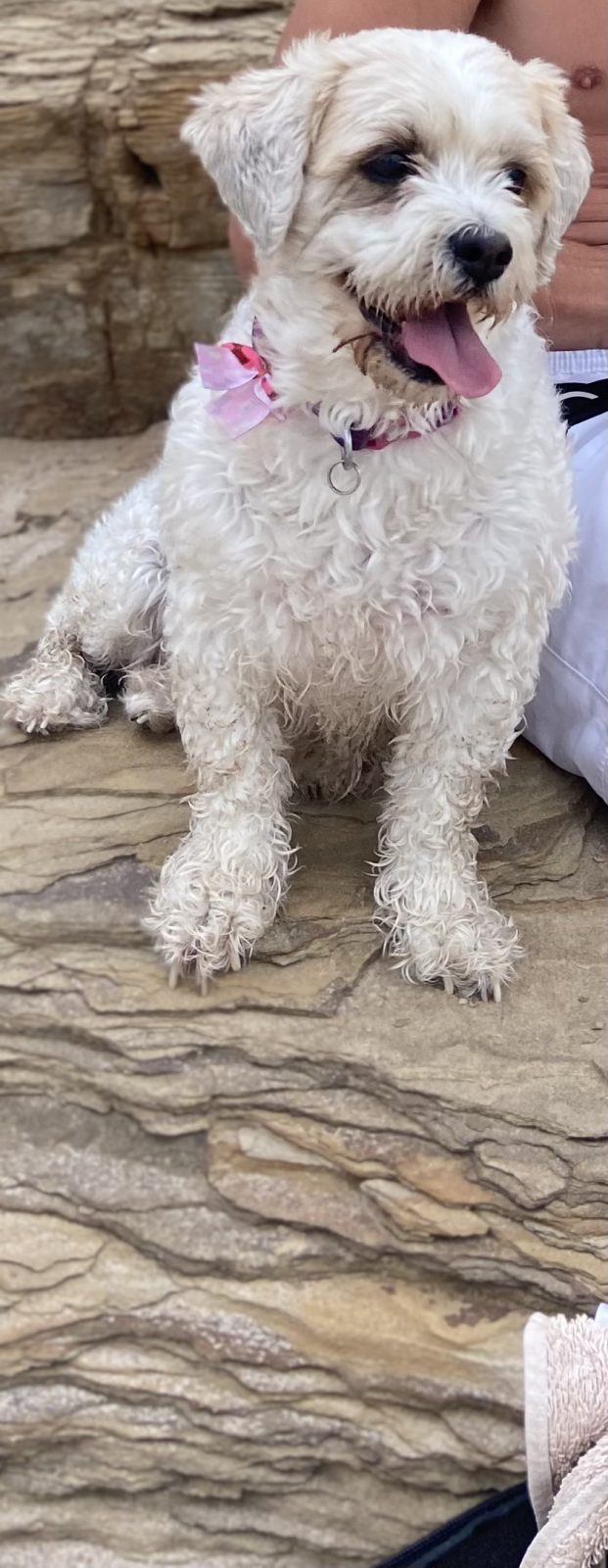 Photo of Pheobe
