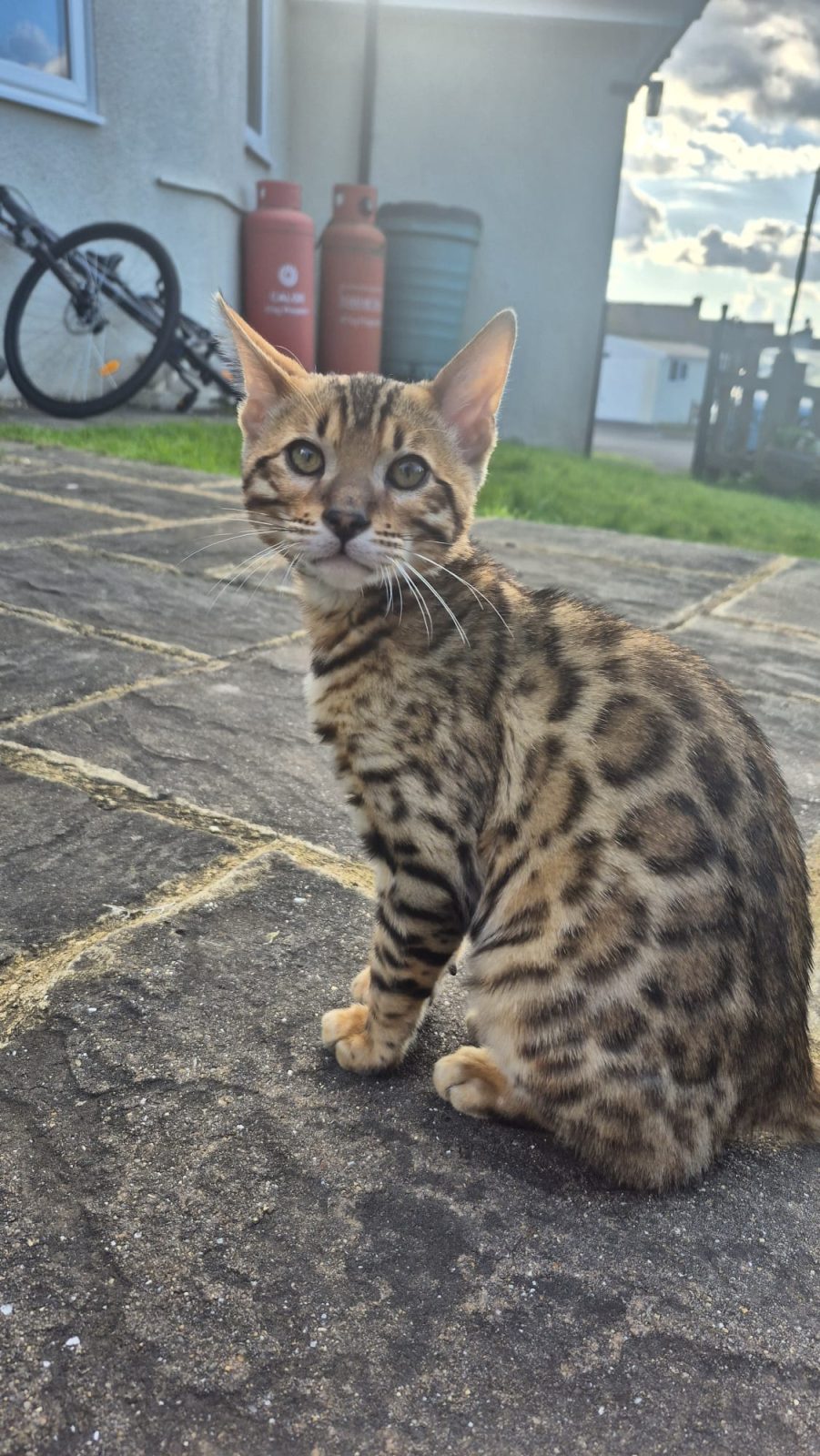 Photo of Jasper