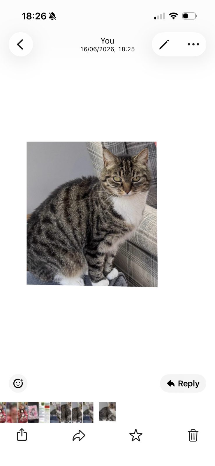 Photo of Dora