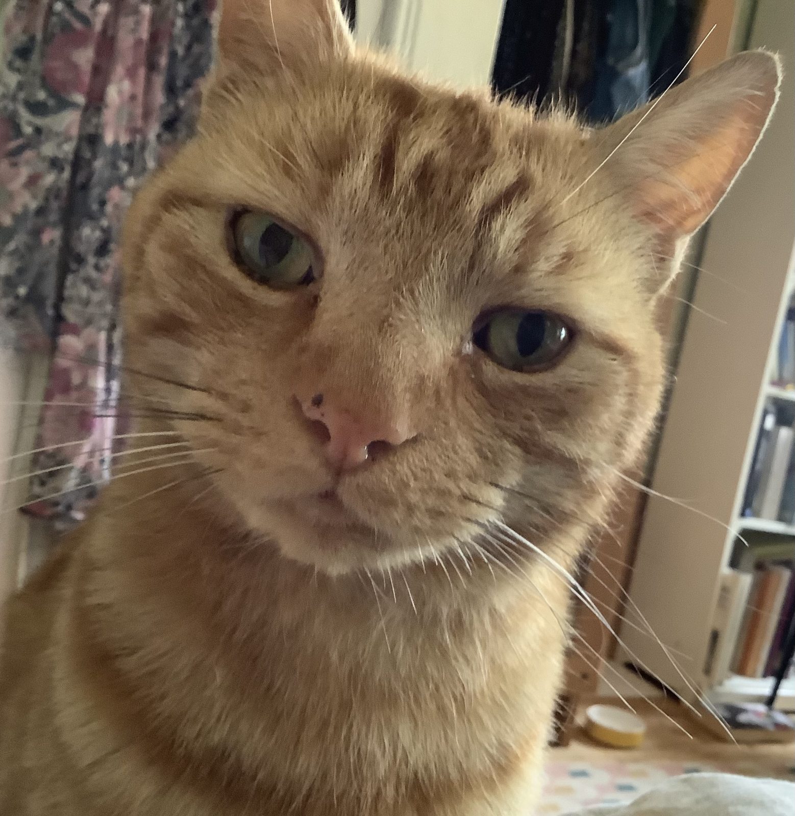Photo of Ted