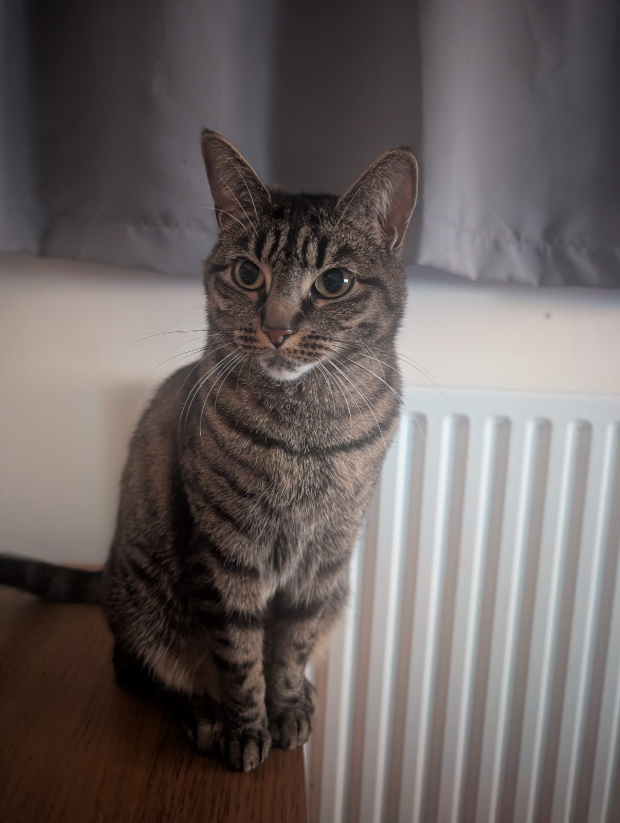 Photo of Wilma