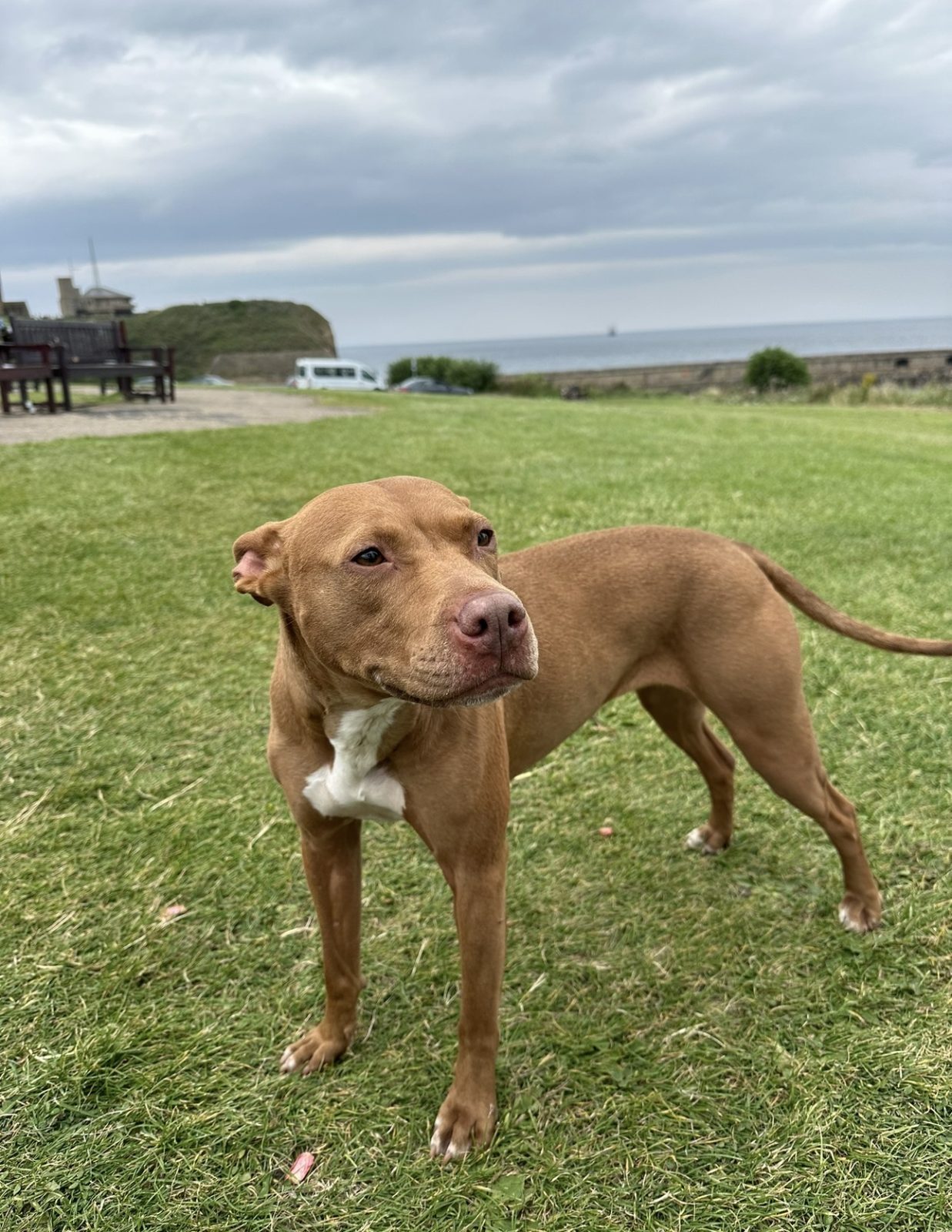 Photo of Milly
