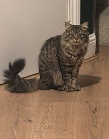 Photo of Frankie