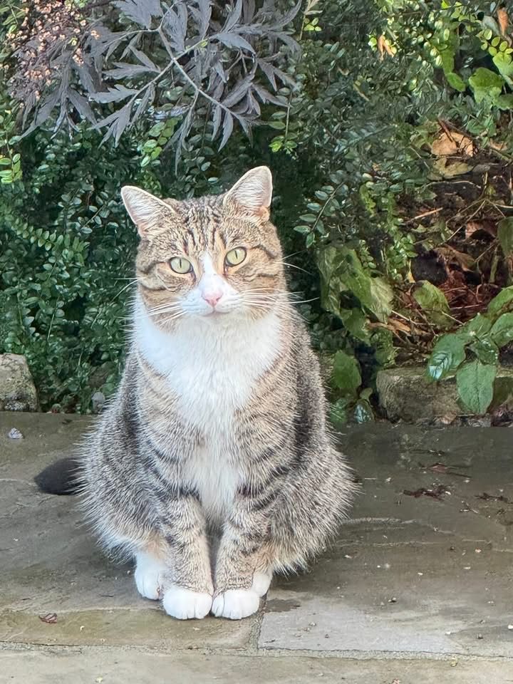 Photo of Woody
