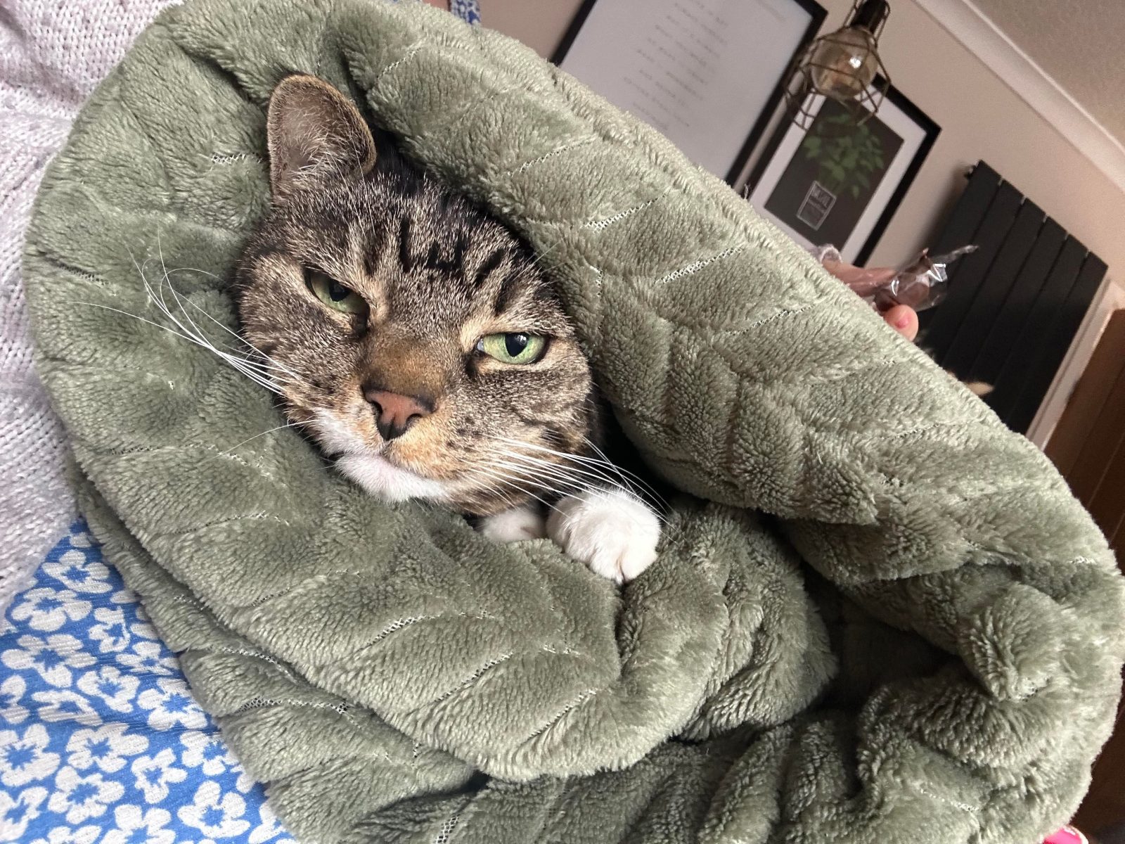Photo of Missy