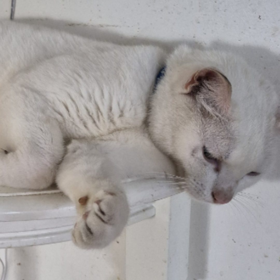 Photo of Ice
