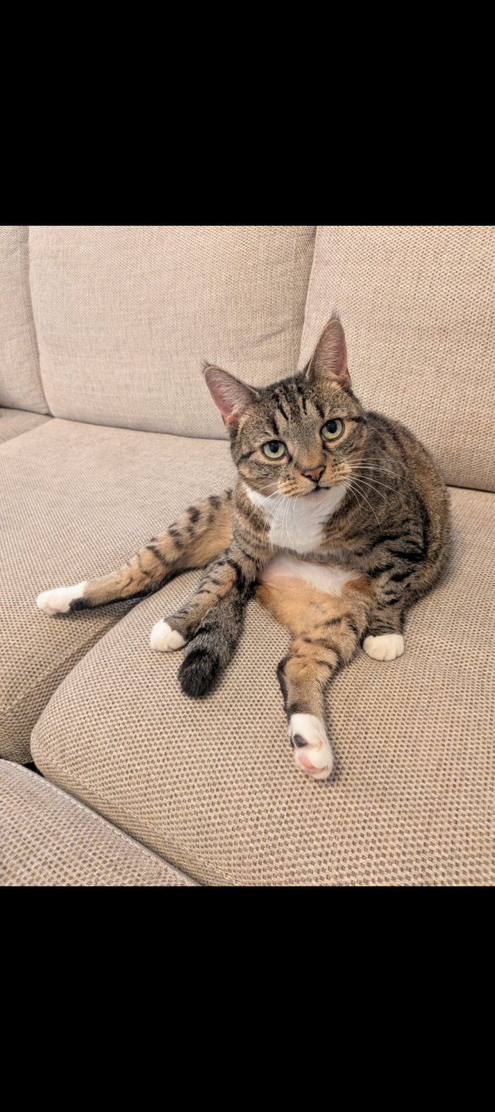 Photo of Maggie
