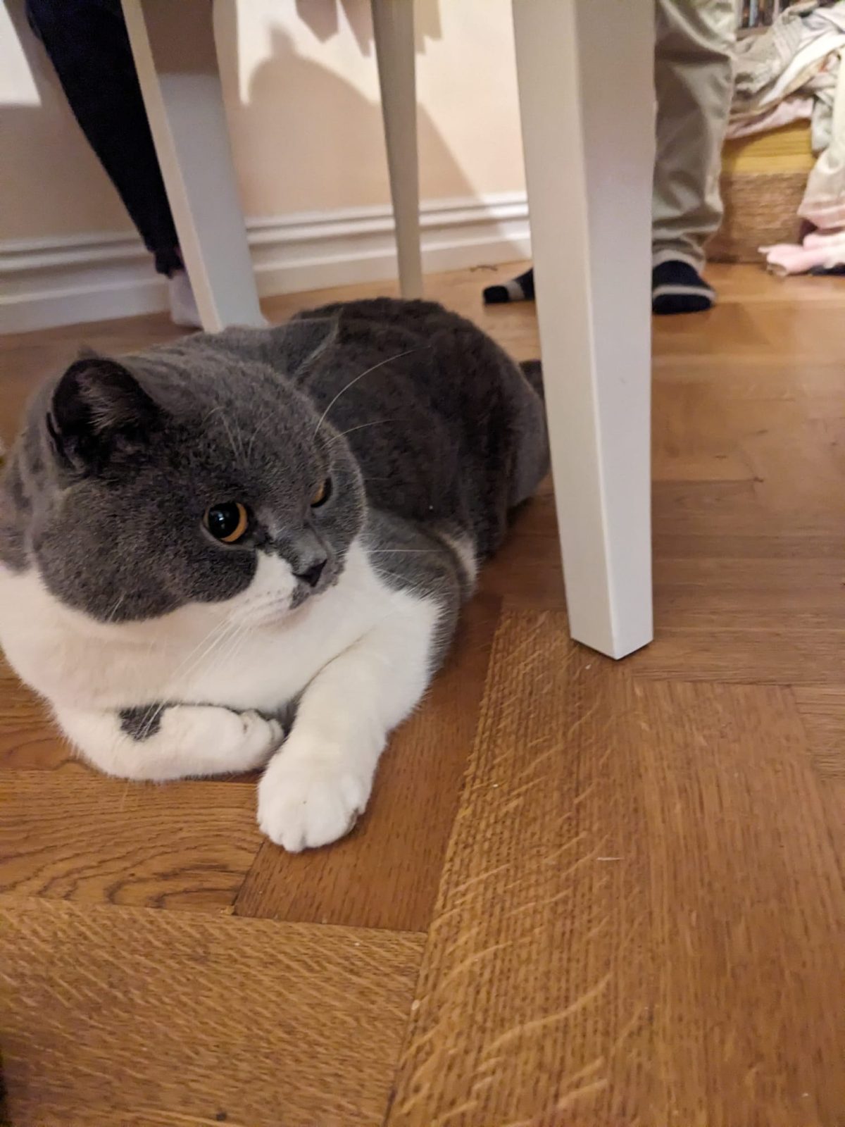 Photo of Spencer