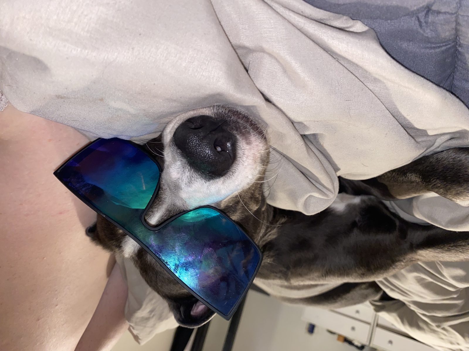 Photo of Blu