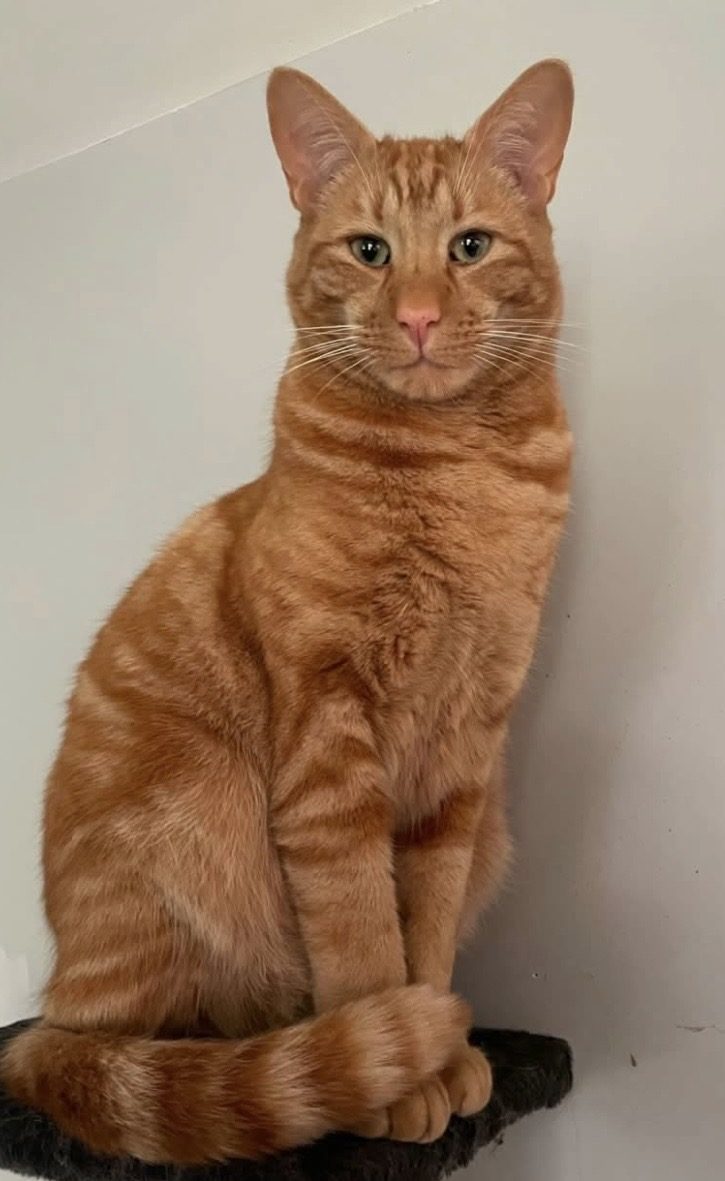Photo of Stanley