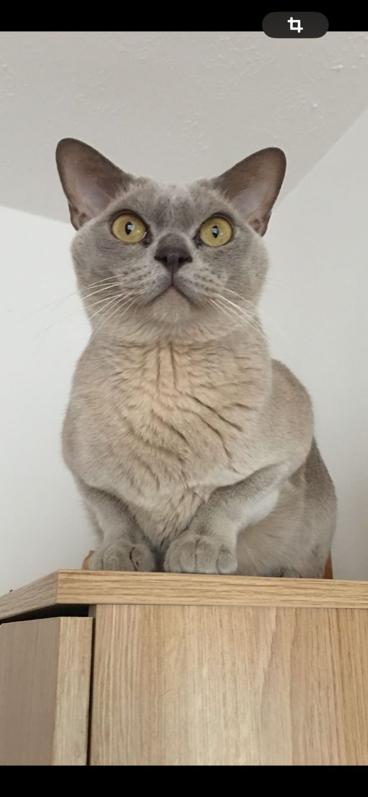 Photo of Zen