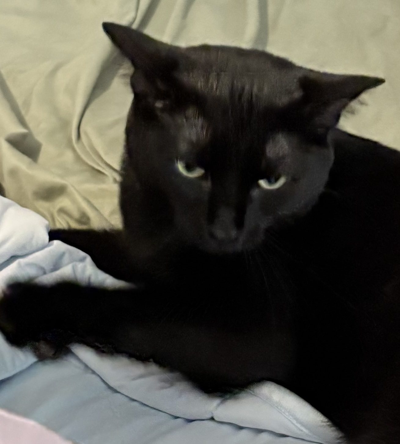 Photo of Persephone