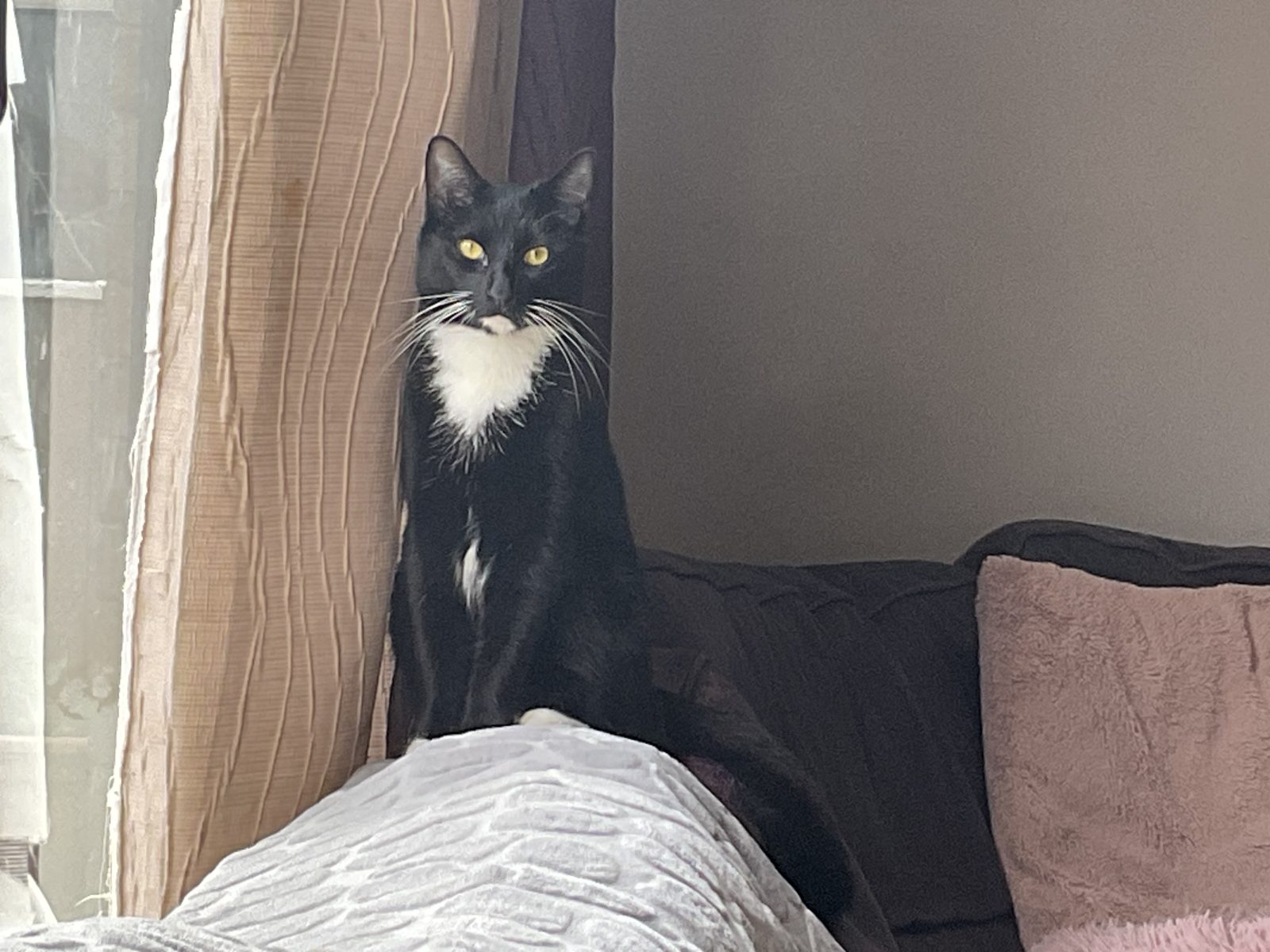 Photo of Gary