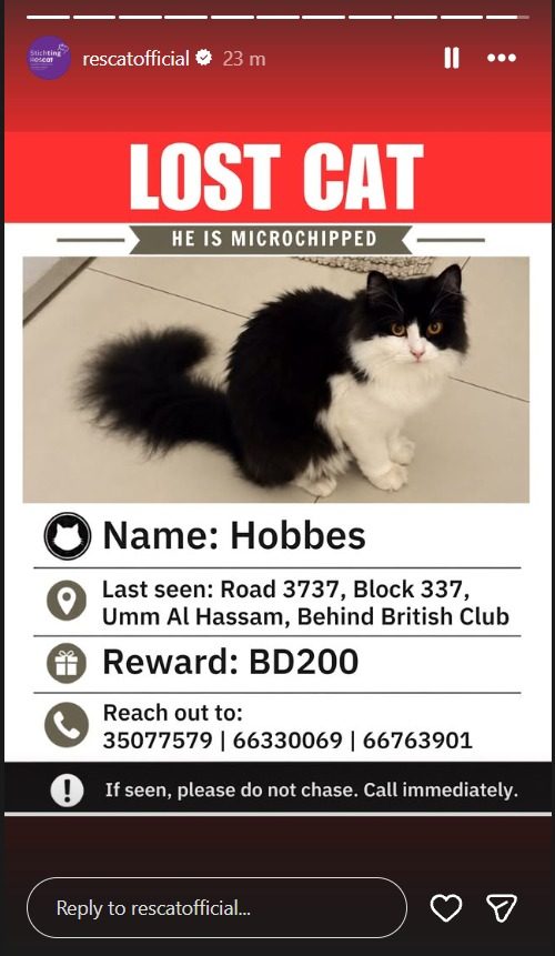 Photo of Hobbes Sylvester