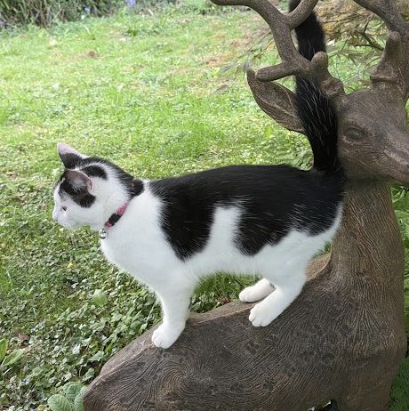 Photo of Mabel