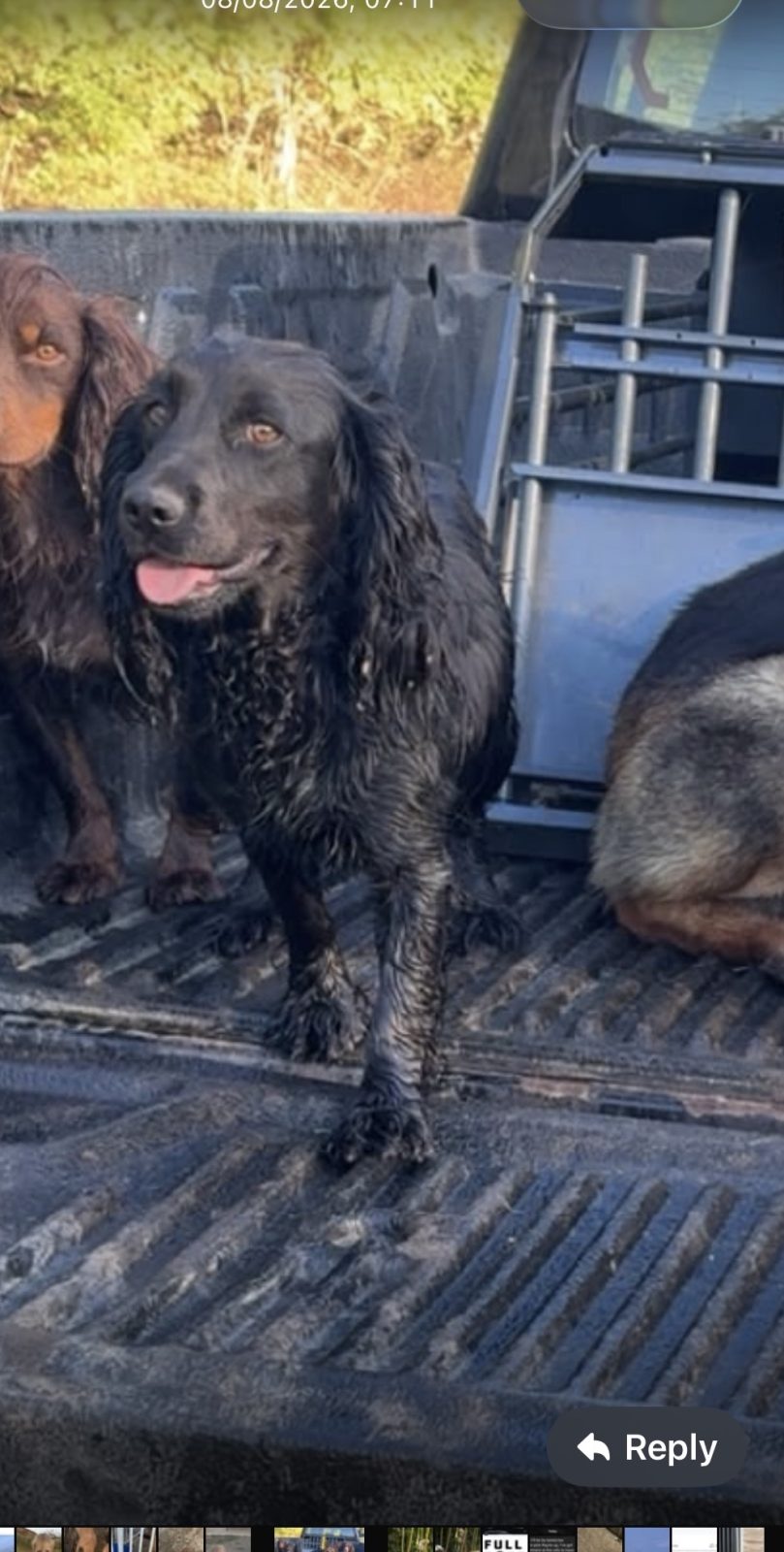 Photo of Betty