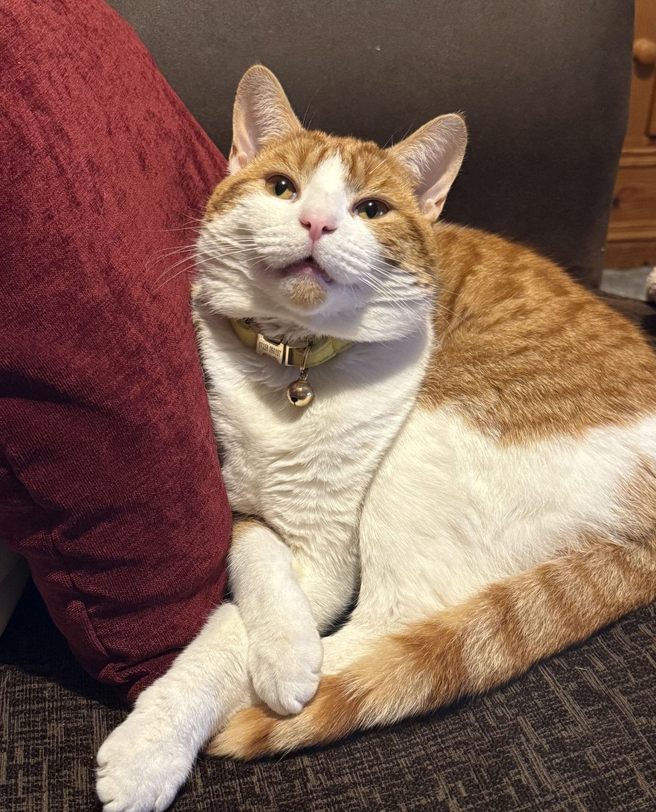 Photo of Pumpkin