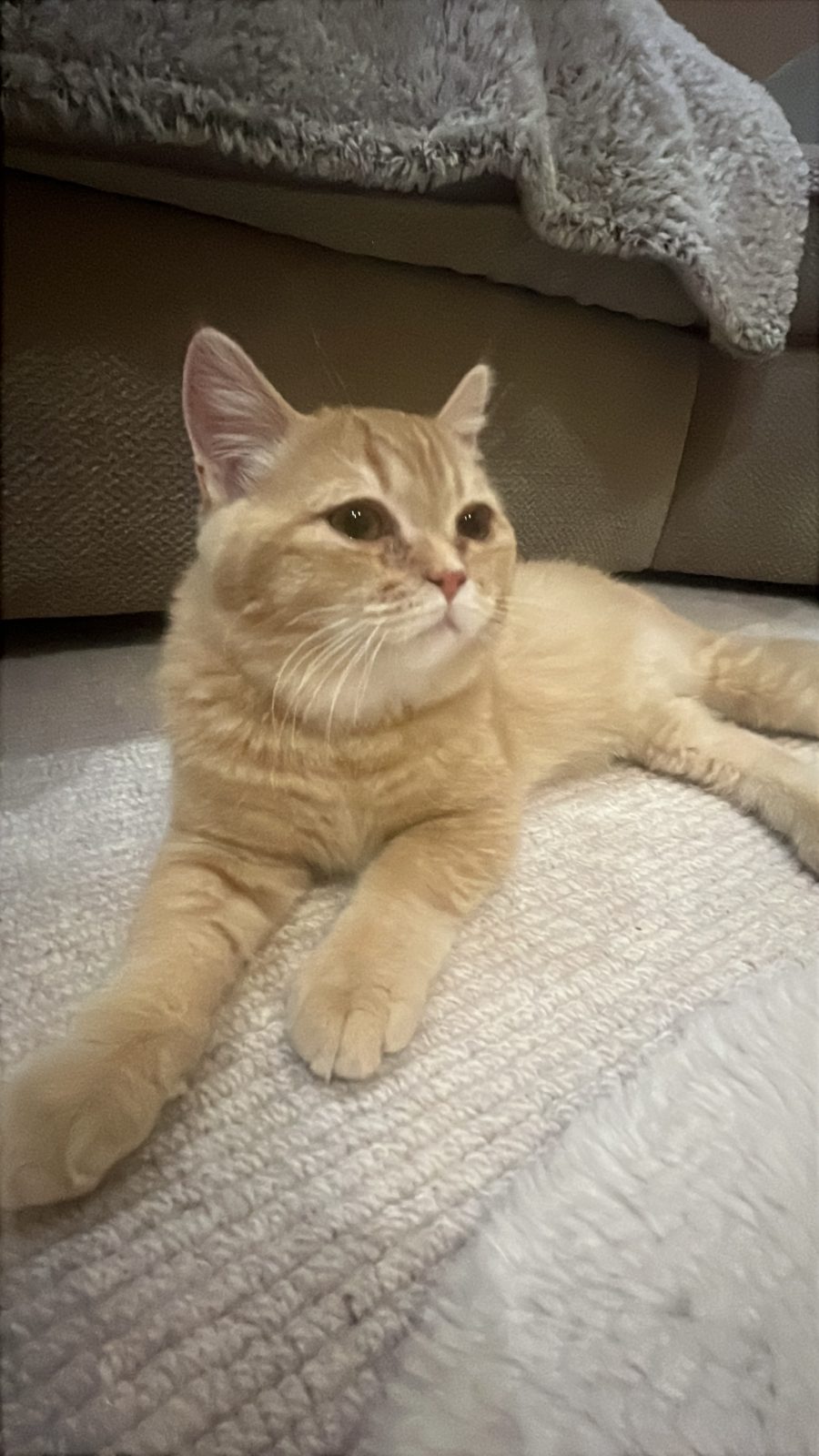 Photo of Dustin Ginger
