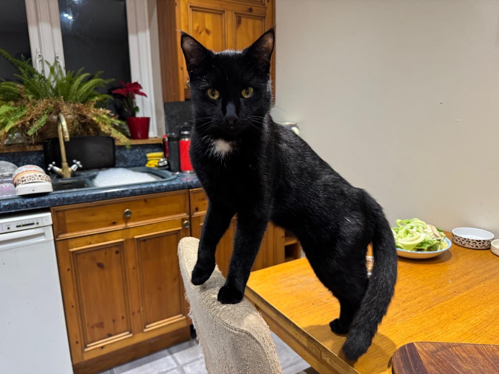 Photo of Bertie