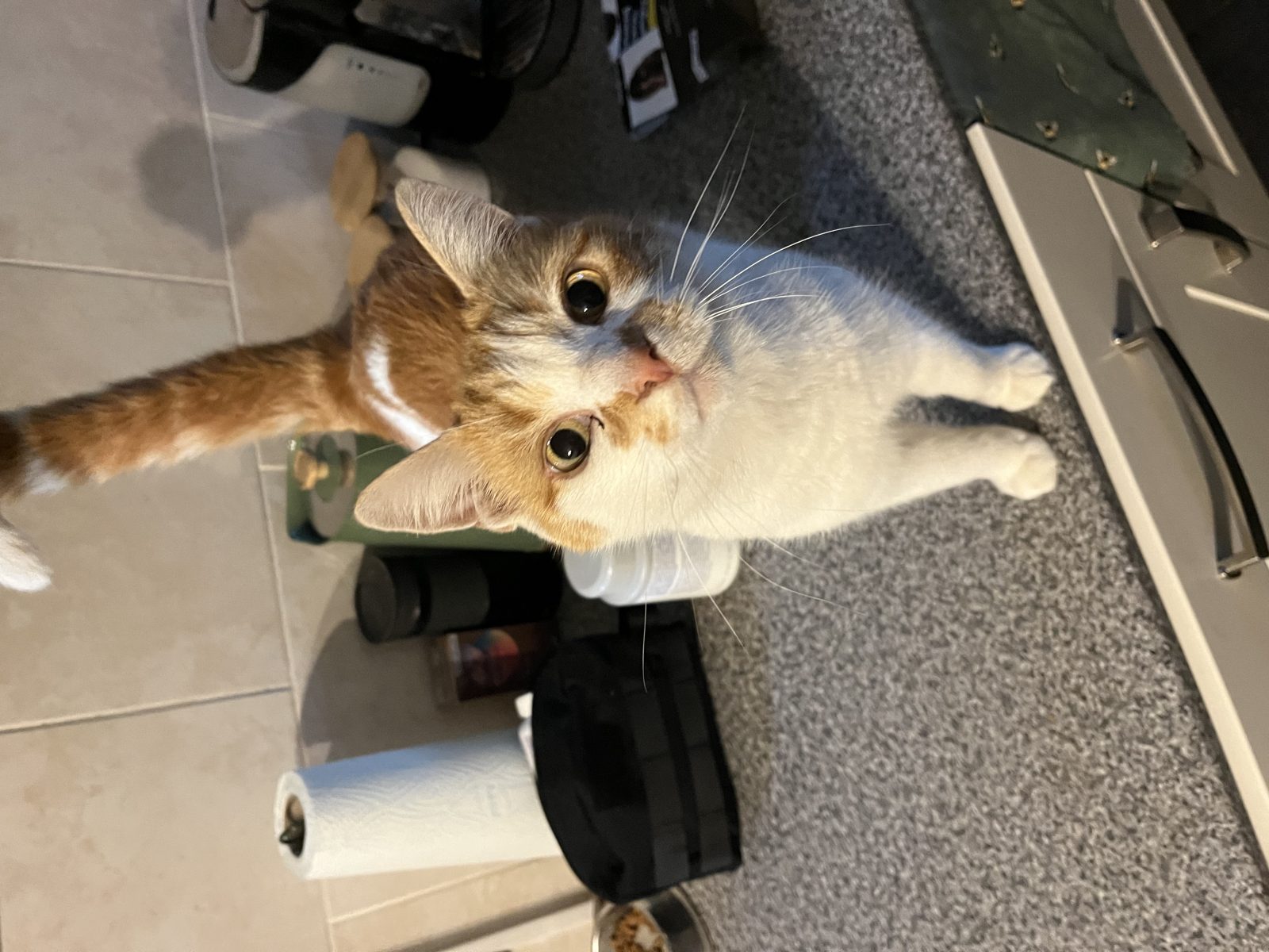 Photo of Bob