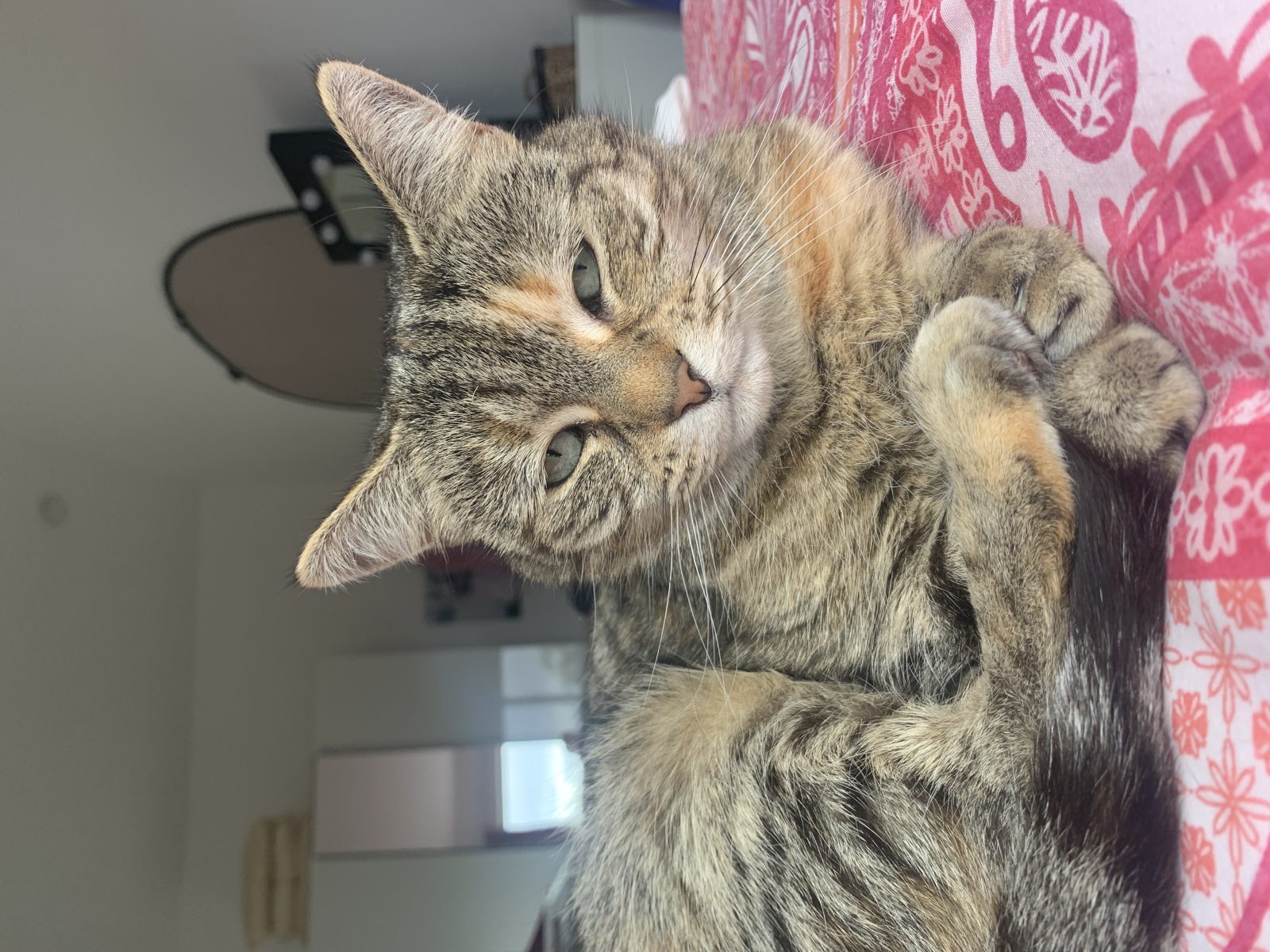 Photo of Peggy