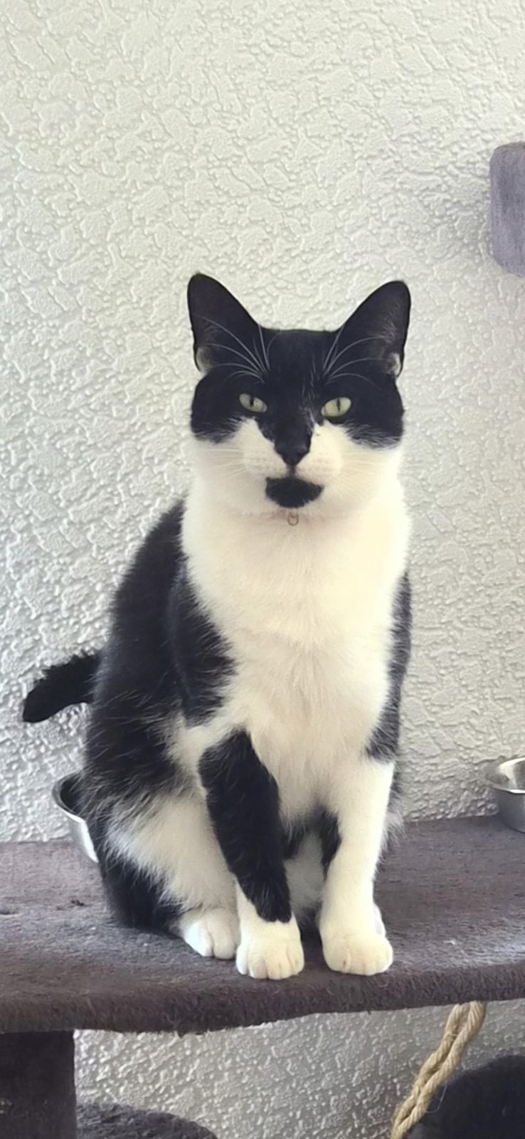 Photo of Geralt